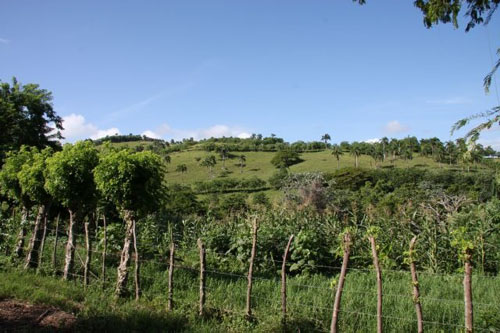 #4 Development Land with 440 Meters Beachfront Rio San Juan