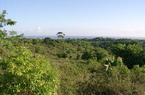 #0 Stunning 110,000 sq meters of PRIME LAND FOR SALE 