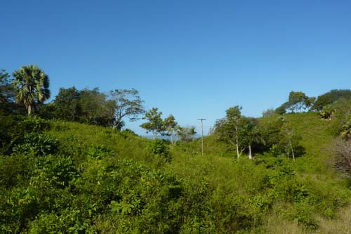 #1 Stunning 110,000 sq meters of PRIME LAND FOR SALE 