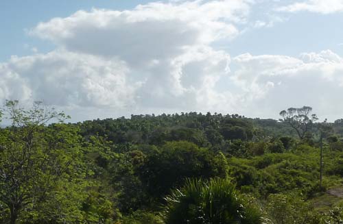 #4 Stunning 110,000 sq meters of PRIME LAND FOR SALE 