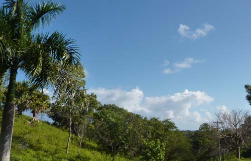 #6 Stunning 110,000 sq meters of PRIME LAND FOR SALE 