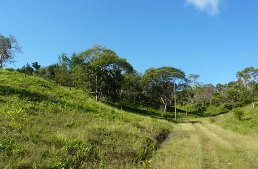 #5 Stunning 110,000 sq meters of PRIME LAND FOR SALE 