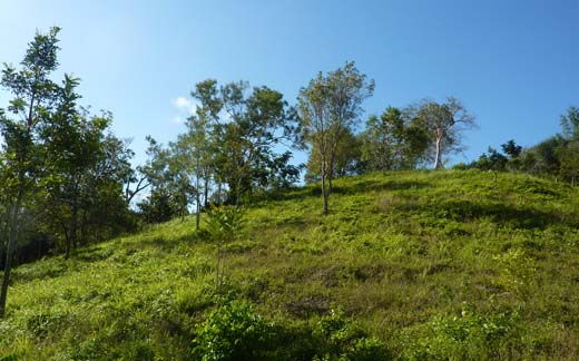 #7 Stunning 110,000 sq meters of PRIME LAND FOR SALE 