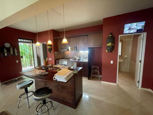 #10 Spectacular Hilltop Ocean View Mansion 