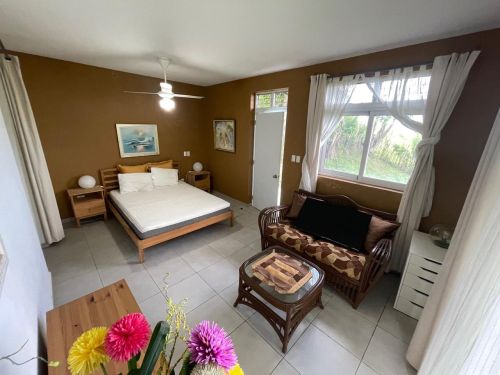 #11 Spectacular Hilltop Ocean View Mansion 