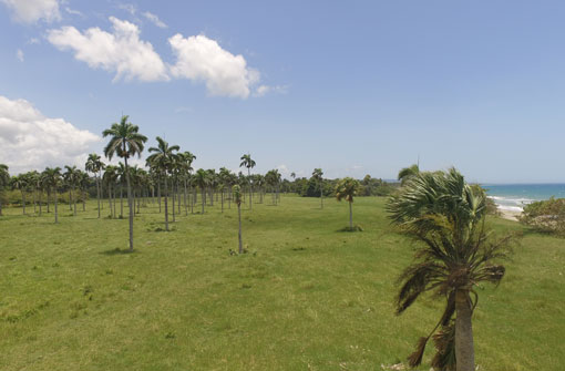 #2 Prime Beachfront Property Near Cabarete - Perfect for Investment or Developmen